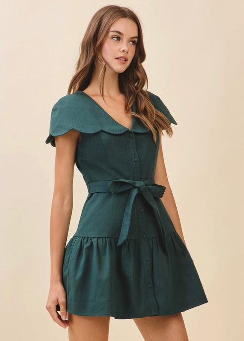 Forrester Denim Dress