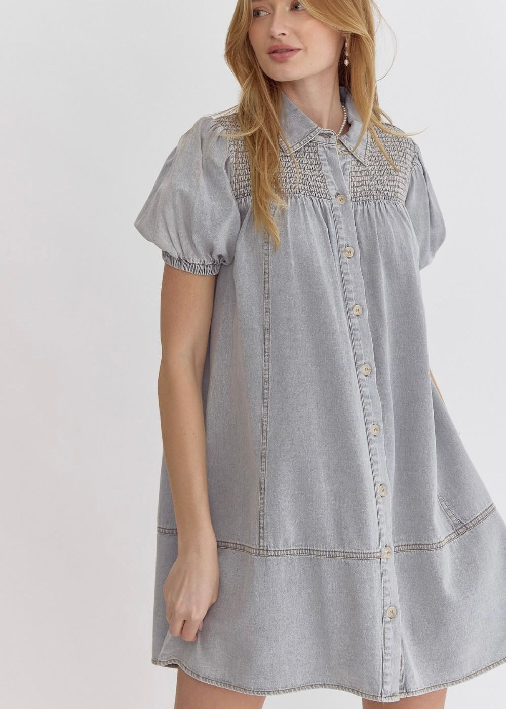 Asheville Denim Dress